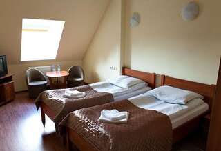 Отель Hotel Omega Острув-Велькопольски Двухместный номер с 2 отдельными кроватями-11