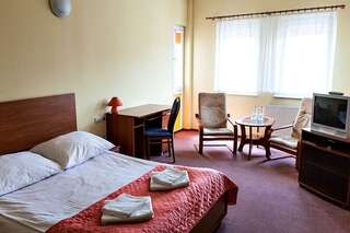 Отель Hotel Omega Острув-Велькопольски Номер Делюкс с кроватью размера «king-size»-2